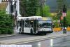roam1019-6.jpg