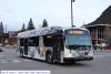 roam1032-5.jpg