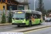 roam1036-3.jpg