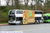 bct9537-3.jpg