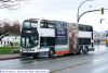 bct9538-3.jpg