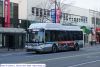 bct4208-4.jpg