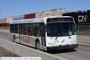 wt131-1.jpg
