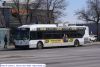 wt453-1.jpg