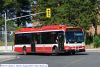 ttc1354-1.jpg