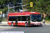 ttc7285.jpg