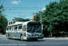 ttc_9151.jpg (212960 bytes)