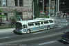 ttc_9154.jpg (188638 bytes)