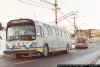 ttc_9197.jpg (87078 bytes)