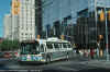 ttc_9199.jpg (195543 bytes)