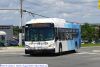 yrt1809-1.jpg